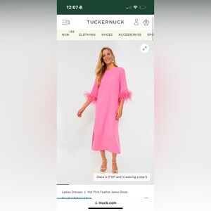 Tuckernuck pink knee length feather dress worn once